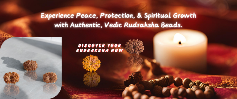 Rudraksha-Discover Your Rudraksha Now